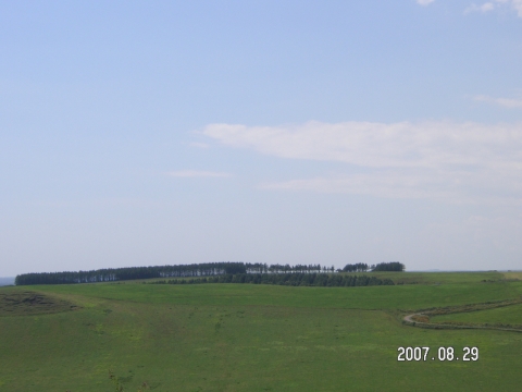 s_PICT0456.jpg